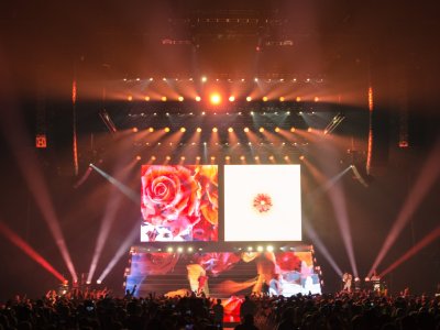 Halsey tour photo